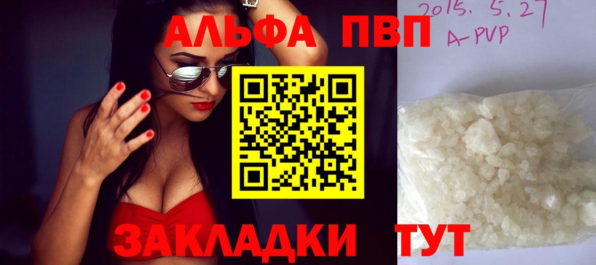 A PVP СК КРИС Шебекино