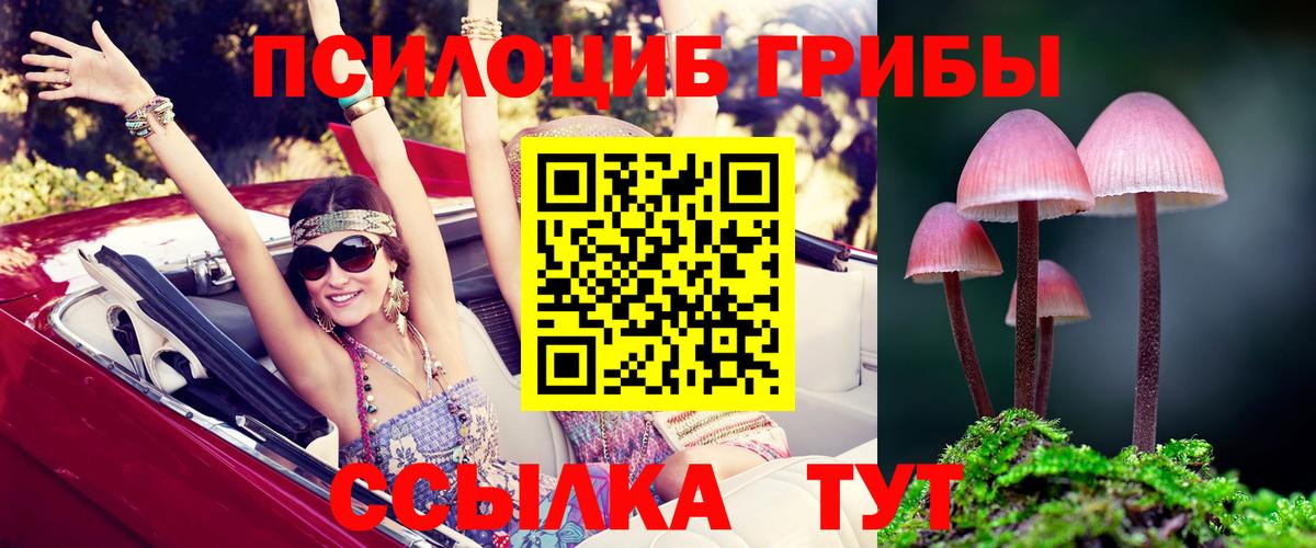 Псилоцибиновые грибы Magic Shrooms  Псилоцибиновые грибы ЛСД  Шебекино  Вход с VPN 